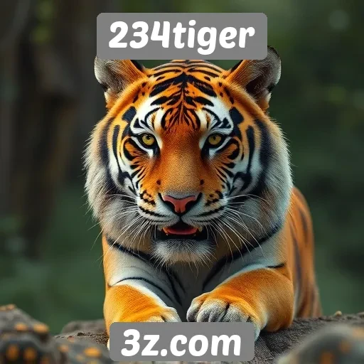 Plataforma 234tiger destaca-se pela segurança nas transações